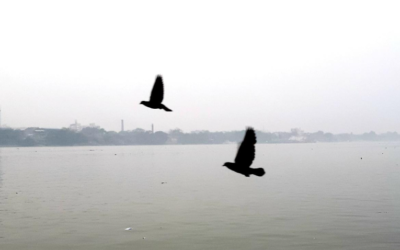 সুখের খোঁজে সুখ ত্যাজিয়াছি সুখে, স্নেহ ভরা নীড় ছাড়িয়া ফিরি দুর্গমপথ মুখে।